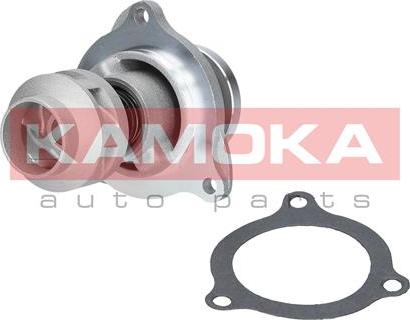 Kamoka T0135 - Водяний насос autocars.com.ua