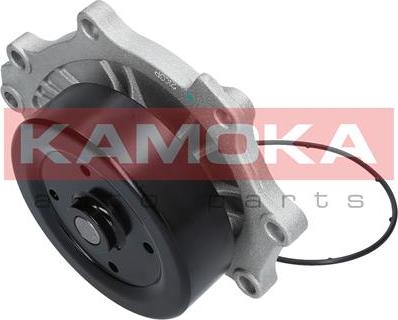 Kamoka T0176 - Водяний насос autocars.com.ua