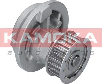 Kamoka T0229 - Водяний насос autocars.com.ua