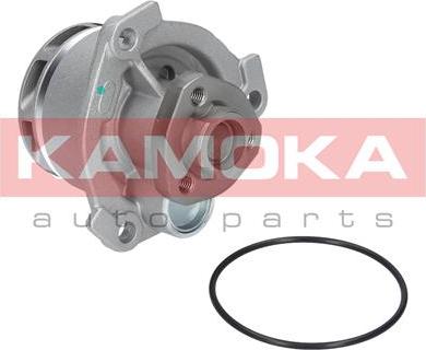 Kamoka T0234 - Водяний насос autocars.com.ua