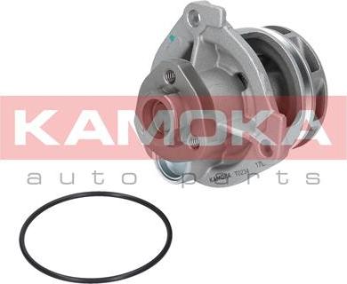 Kamoka T0234 - Водяний насос autocars.com.ua