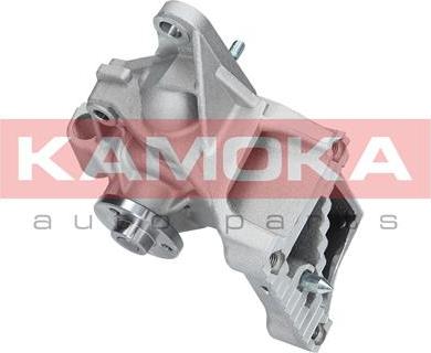 Kamoka T0239 - Водяний насос autocars.com.ua