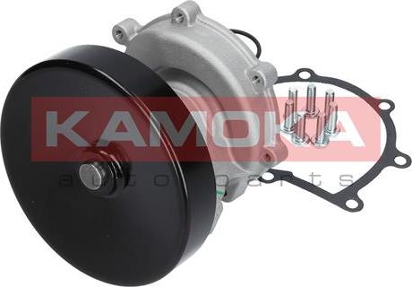 Kamoka T0247 - Водяной насос avtokuzovplus.com.ua