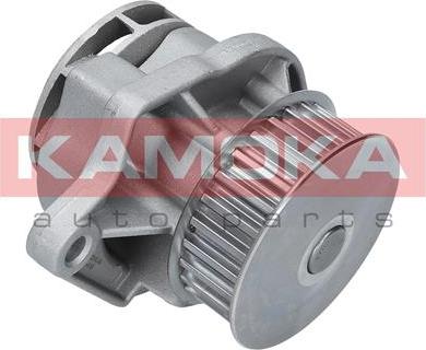 Kamoka T0248 - Водяний насос autocars.com.ua