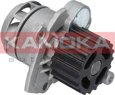 Kamoka T0253 - Водяний насос autocars.com.ua