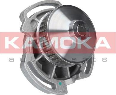 Kamoka T0254 - Водяний насос autocars.com.ua