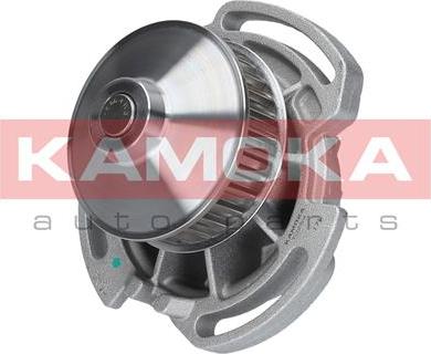 Kamoka T0254 - Водяний насос autocars.com.ua