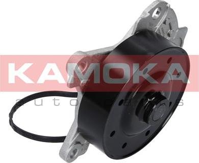 Kamoka T0262 - Водяний насос autocars.com.ua