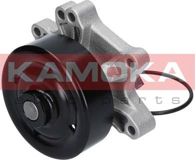 Kamoka T0263 - Водяний насос autocars.com.ua