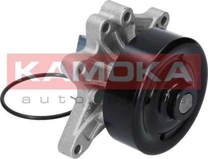 Kamoka T0263 - Водяний насос autocars.com.ua