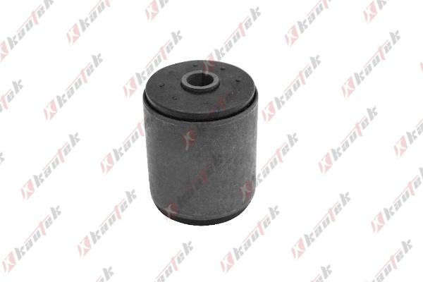 Kautek JP-BS009 - Підвіска, листова ресора autocars.com.ua