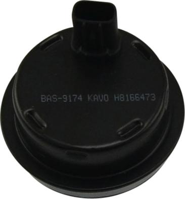 Kavo Parts BAS-9174 - Датчик ABS, частота вращения колеса avtokuzovplus.com.ua