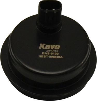Kavo Parts BAS-9199 - Датчик ABS, частота обертання колеса autocars.com.ua
