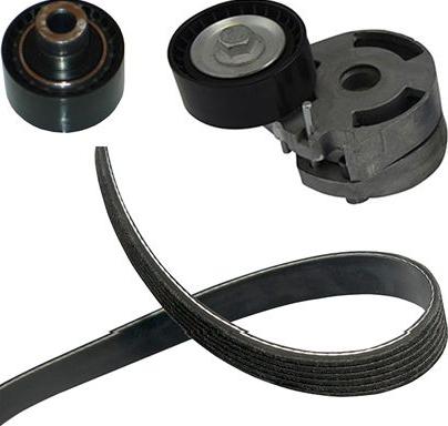 Kavo Parts DKM-4501 - Комплект клинового ременя autocars.com.ua