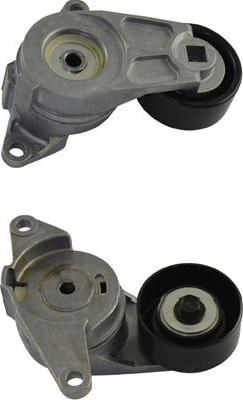 Kavo Parts DTP-1010 - Паразитний / провідний ролик, поліклиновий ремінь autocars.com.ua