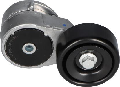 Kavo Parts DTP-3026 - Направляющий ролик, поликлиновый ремень avtokuzovplus.com.ua