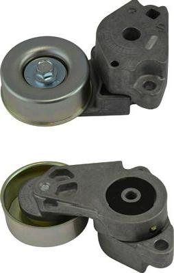 Kavo Parts DTP-5503 - Паразитний / провідний ролик, поліклиновий ремінь autocars.com.ua