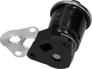 Kavo Parts EEG-1001 - Клапан повернення ОГ autocars.com.ua