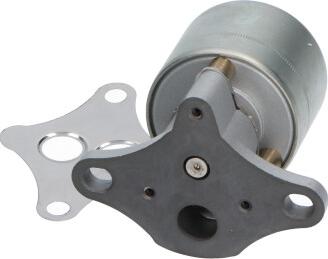 Kavo Parts EEG-1004 - Клапан возврата ОГ avtokuzovplus.com.ua