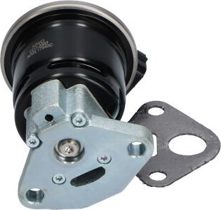 Kavo Parts EEG-2003 - Клапан возврата ОГ avtokuzovplus.com.ua