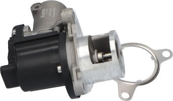 Kavo Parts EEG-3021 - Клапан повернення ОГ autocars.com.ua