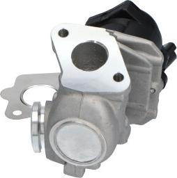 Kavo Parts EEG-9004 - Клапан повернення ОГ autocars.com.ua