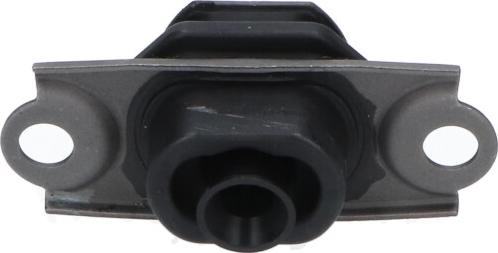 Kavo Parts EEM-10097 - Подушка, опора, подвеска двигателя avtokuzovplus.com.ua