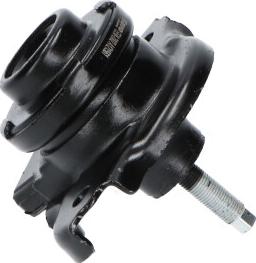 Kavo Parts EEM-2002 - Подушка, підвіска двигуна autocars.com.ua