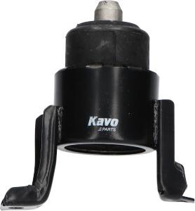 Kavo Parts EEM-4646 - Подушка, опора, подвеска двигателя avtokuzovplus.com.ua