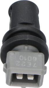 Kavo Parts EIT-1006 - Датчик, температура впускаемого воздуха avtokuzovplus.com.ua