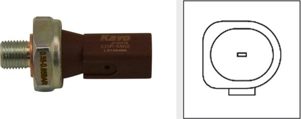 Kavo Parts EOP-5502 - Датчик тиску масла autocars.com.ua