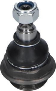 Kavo Parts SBJ-10143 - Несучий / направляючий шарнір autocars.com.ua