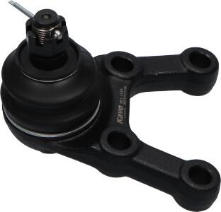 Kavo Parts SBJ-5505 - Несучий / направляючий шарнір autocars.com.ua