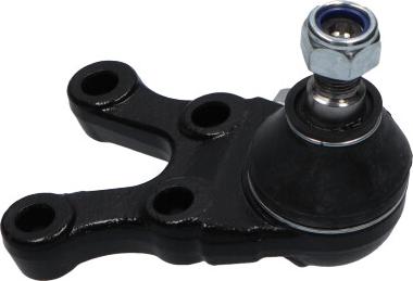 Kavo Parts SBJ-5507 - Шаровая опора, несущий / направляющий шарнир avtokuzovplus.com.ua