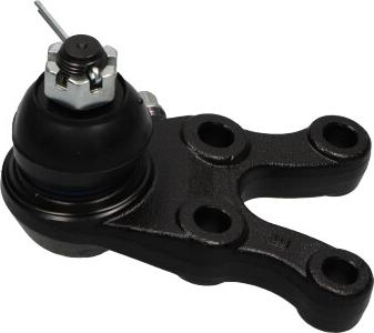 Kavo Parts SBJ-5524 - Шаровая опора, несущий / направляющий шарнир avtokuzovplus.com.ua