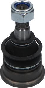 Kavo Parts SBJ-6509 - Шаровая опора, несущий / направляющий шарнир avtokuzovplus.com.ua