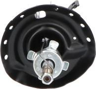 Kavo Parts SSA-2024 - Амортизатор avtokuzovplus.com.ua