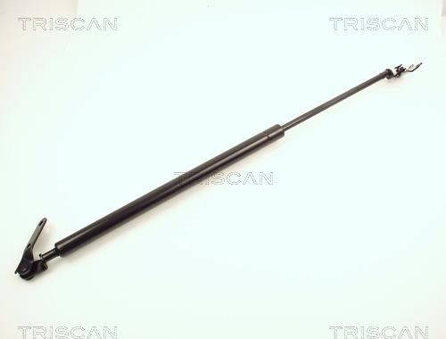 Kawe 8710 13226 - Газова пружина, кришка багажник autocars.com.ua