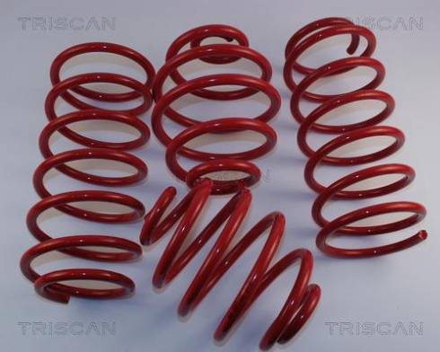 Kawe 8755 24006 - Комплект ходової частини, пружини autocars.com.ua