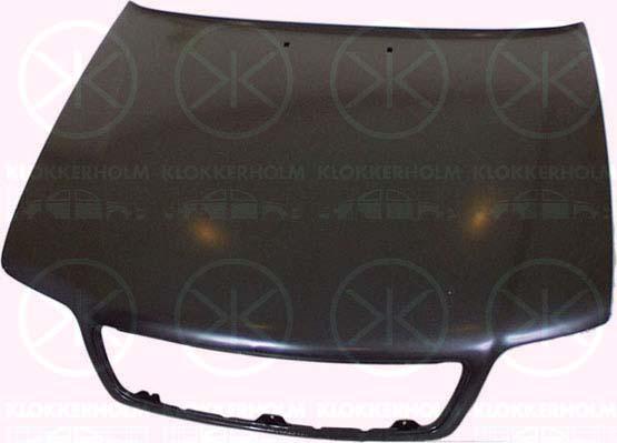 Klokkerholm 0013280 - Капот двигуна autocars.com.ua