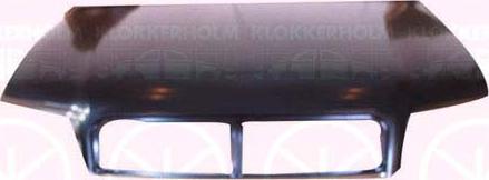 Klokkerholm 0019281 - Капот двигуна autocars.com.ua
