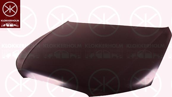 Klokkerholm 0029281A1 - Капот двигателя avtokuzovplus.com.ua
