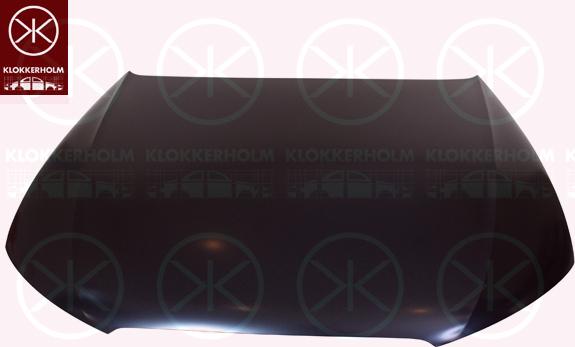 Klokkerholm 0029281 - Капот двигуна autocars.com.ua