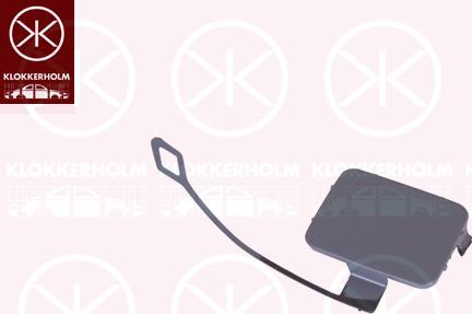 Klokkerholm 0062919A1 - Заслінка, буксирний гак autocars.com.ua