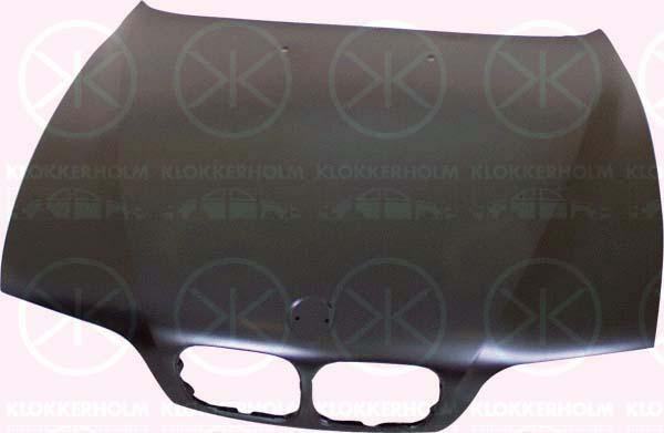 Klokkerholm 0065280 - Капот двигателя avtokuzovplus.com.ua
