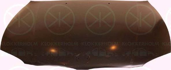 Klokkerholm 0085280 - Капот двигуна autocars.com.ua