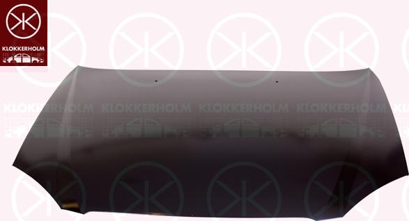 Klokkerholm 1132280 - Капот двигуна autocars.com.ua