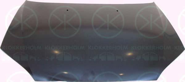 Klokkerholm 2555280 - Капот двигателя avtokuzovplus.com.ua
