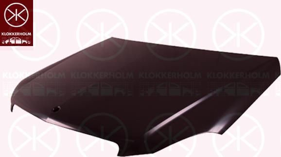 Klokkerholm 3518282 - Капот двигателя autodnr.net