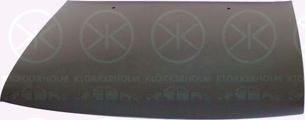 Klokkerholm 5050280 - Капот двигателя avtokuzovplus.com.ua